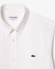 Camicia Lacoste 37